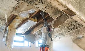 Best Water Damage & Mold Remediation  in Poth, TX